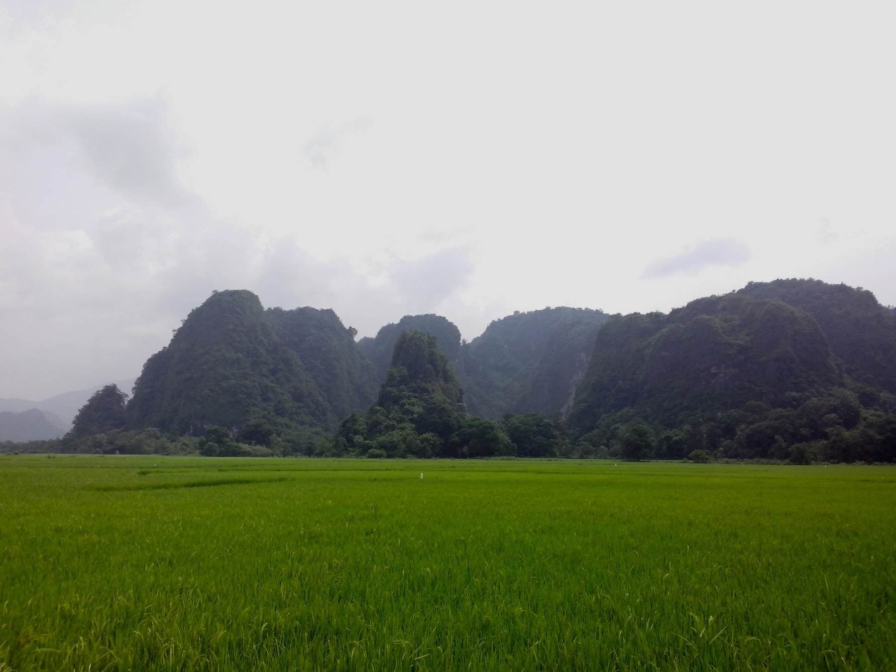Karst Mountain in Maros.jpg
