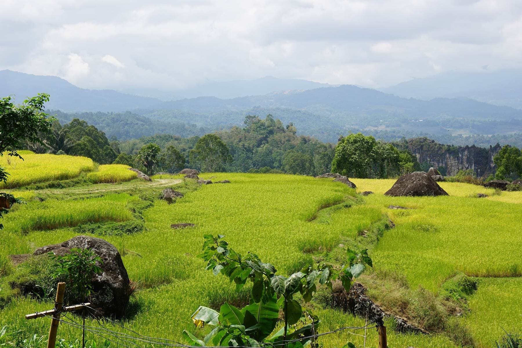 Indonesian landscape of Celebes.jpg